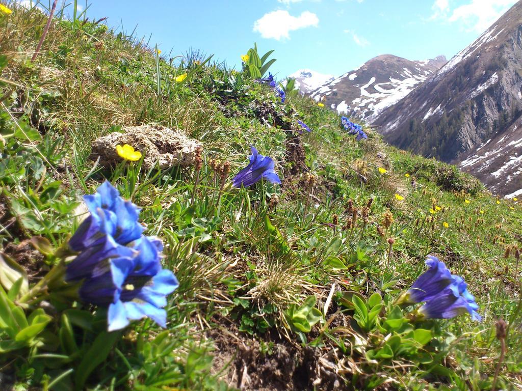 Ferienwohnungen Bailom Elbigenalp Exterior foto